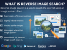 explaining reverse image search, showing how users can search the internet using images to find exact matches, edited versions, similar visuals, and source websites, with icons for Google, Bing, Lenso.ai, and Yandex.